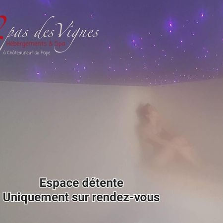 A 2 Pas Des Vignes, Hebergements Et Spa, Maison Numero 6, A Chateauneuf Du Pape Exterior foto